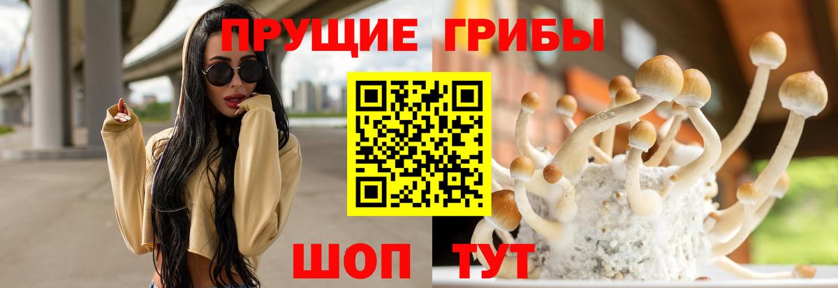 Узловая  Псилоцибиновые грибы MAGIC MUSHROOMS  Вход с VPN 